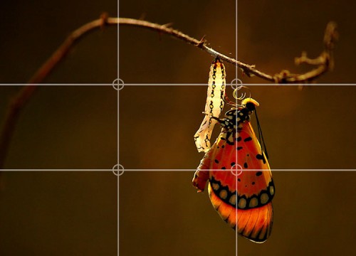 Graphics is Not My Thing: Part 1: Take Better Photos