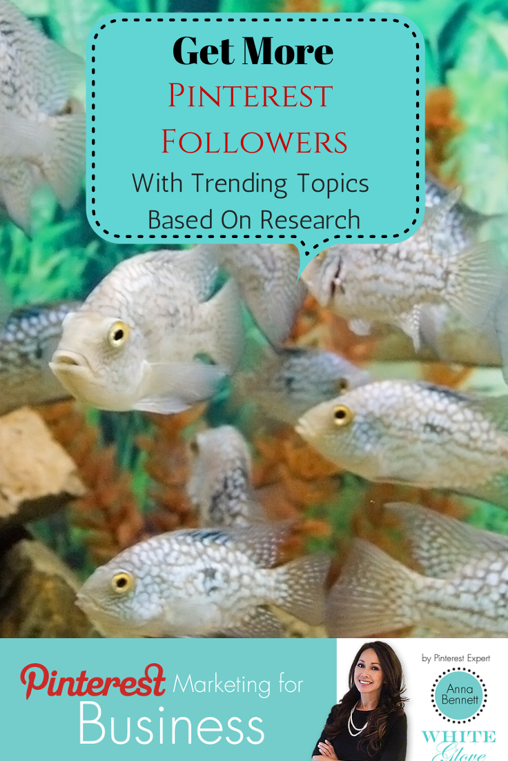 Get More Pinterest Followers With Trending Topics Based On Research.png