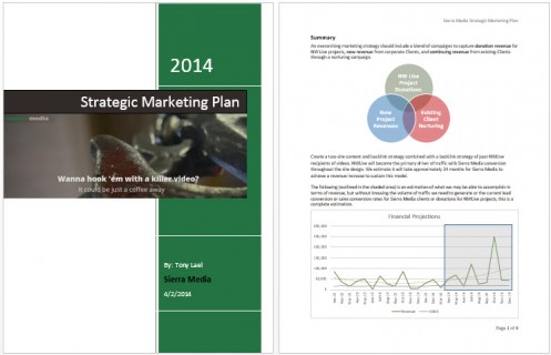 Marketing Plans