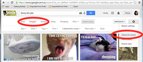 cats-advanced-search