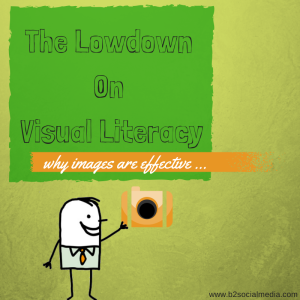 visual literacy 300x300 The Low Down On Visual Literacy