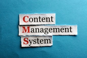The Best Content Management System for Your Online Business