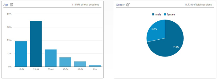 Google Analytics Audience Demographics Data