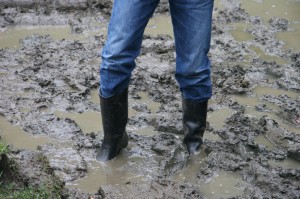 Stick in the mud