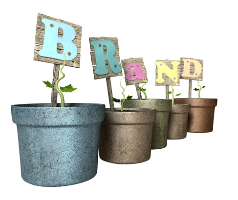 photodune 3576541 grow your brand flowerpot xs 10 Reasons Why Personal Branding is a Requirement for Marketers & Business Leaders 