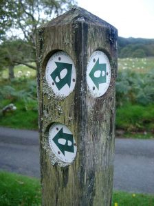 sign post with arrows in every direction