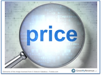 What Causes Customers to Focus on Price