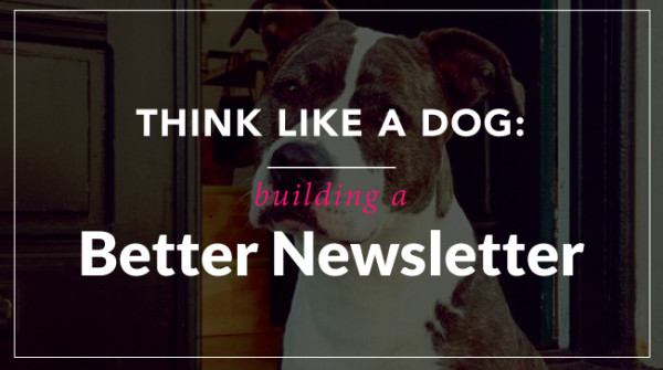 Building a Better Newsletter - Think Like a Dog