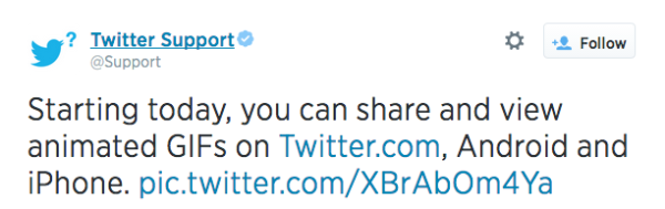 Twitter announces GIFs
