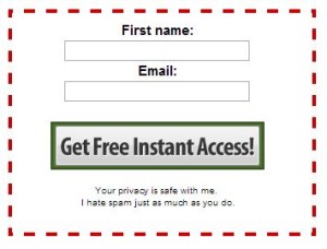 Simple Opt In Form