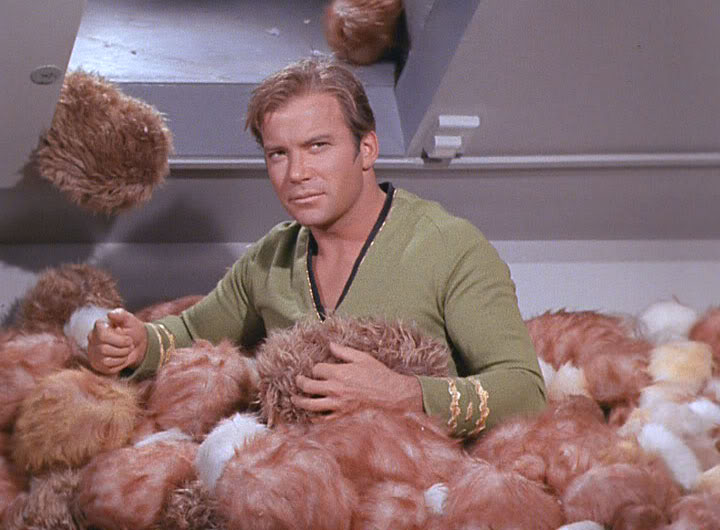 Files and Tribble-ations: What Star 