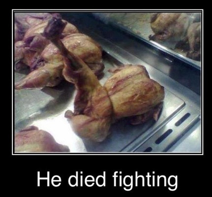 courageous-chicken-fried