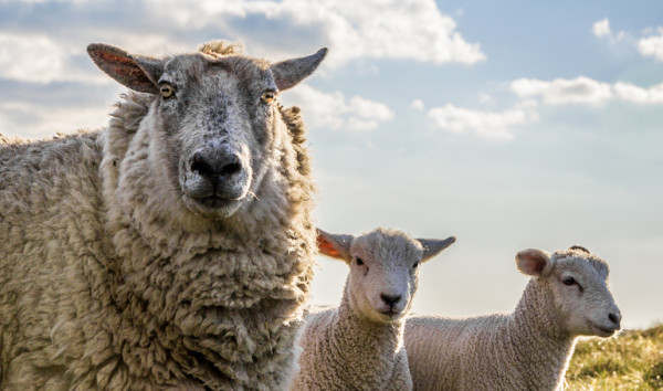 Why Doesn t Increased Site Traffic Always Mean More Conversions Business 2 Community