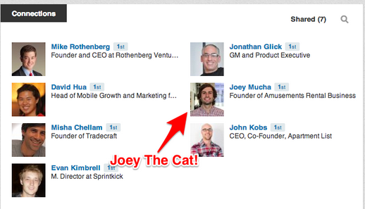  Sweet! It looks like my good buddy Joey The Cat is LinkedIn buds with with Rick.
