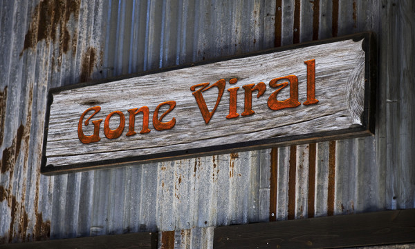 5 Clever Social Media Marketing Campaigns that Went Viral
