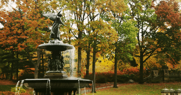 Bethesda-Fountain-9801