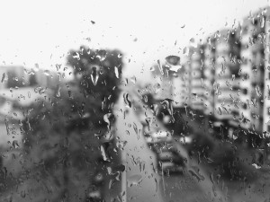 Window