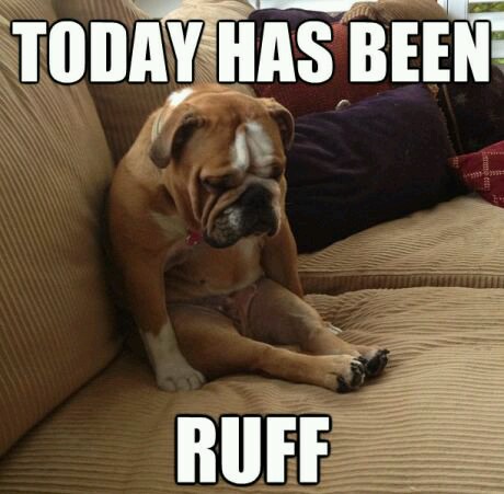 a.baa Ruff Day How to turn a bad day into an okay one