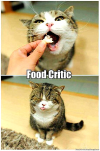 Credits: veryfunnypics.eu