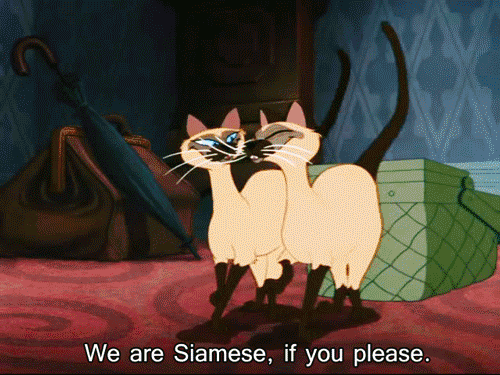http://www.business2community.com/wp-content/uploads/2014/08/lady-tramp-siamese-cats16.gif