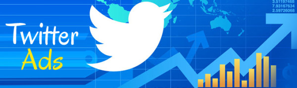 How to Use Sponsored Twitter Ads to Grow your Business?
