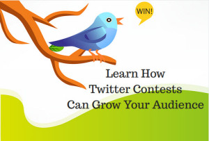 How Twitter Contests Can Grow Your Audience