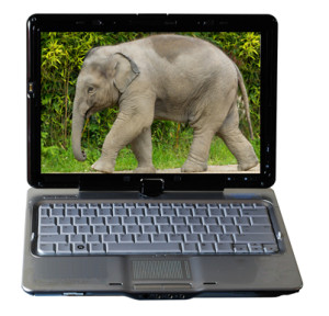 elephantwebsite