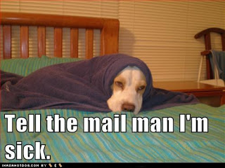 funny-dog-pictures-tell-the-mail-man-im-sick