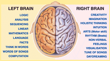 left brain versus right brain