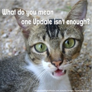 one update