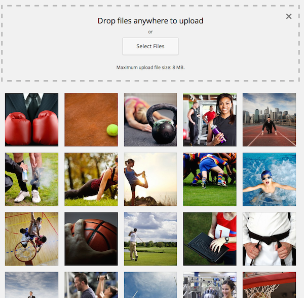 Wordpress 4.0 