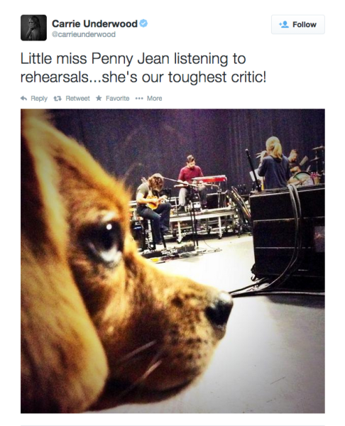 Carrie Underwood tweets about philanthropy