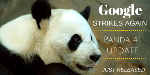 Panda 4.1 Updates Impacts Content
