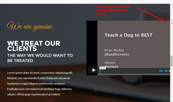 quality assurance website error
