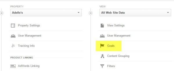 Goal setup step 1: go into Admin area and select Goals sub menu.