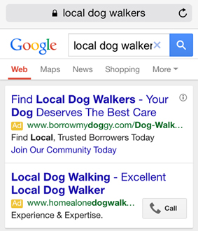 local dog walker