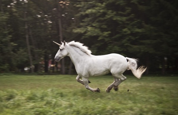CRM's unfulfilled promise of better selling is the unicorn we’re all trying to catch