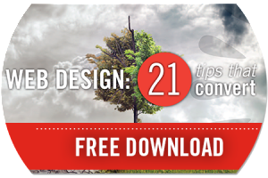 Ebook on 21 Web Design Tips that Convert by Original Ginger