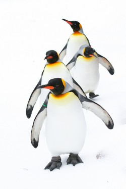 Google Penguin penalty illustration 2