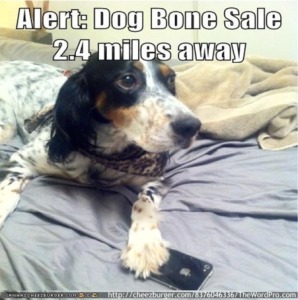 dog bone sale