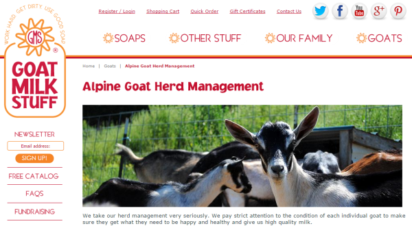 Is email marketing effective goats