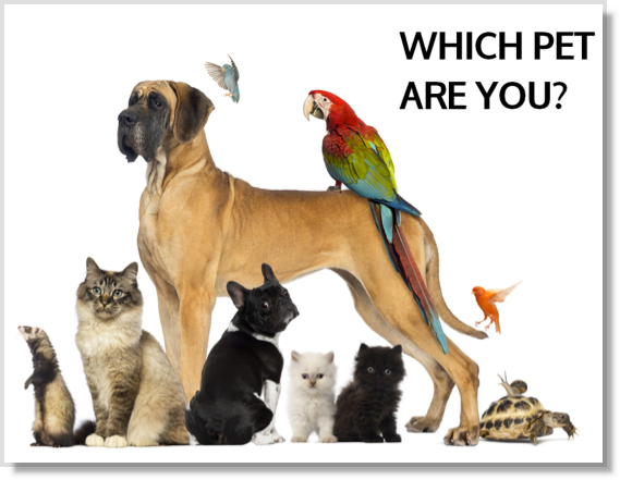 How to create a Facebook quiz