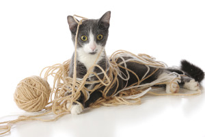 Mixing up Content Marketing with Stuff Marketing