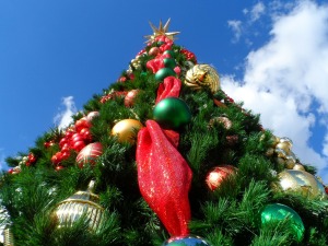 christmas-tree-227014_1280
