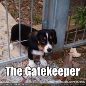 gatekeeper