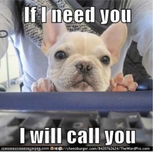 call you