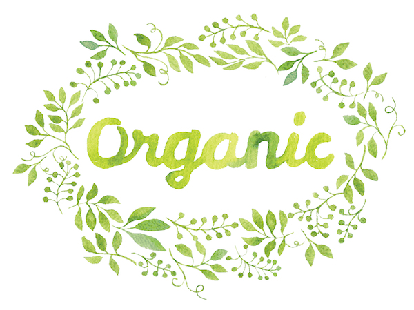 increase_organic_traffic_seo_tips