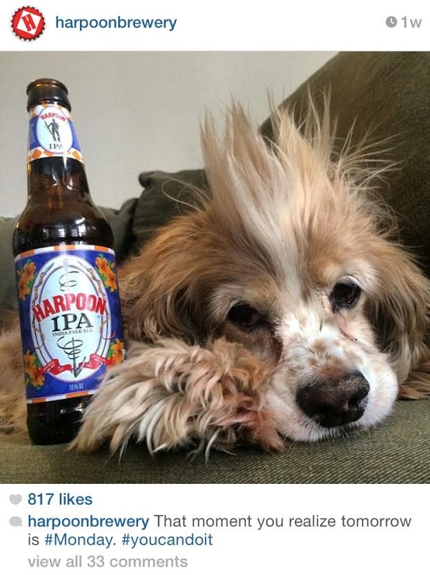 Instagram Marketing Example Harpoon