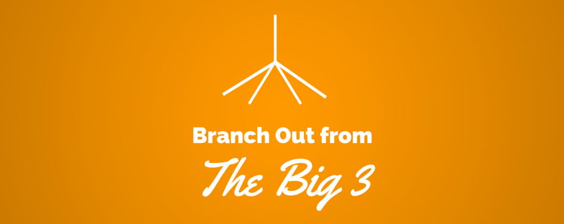 4 Reasons to Branch Out from the Big 3 Search Networks