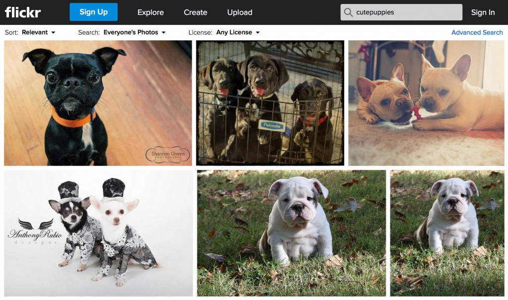 CutePuppiesFromTag